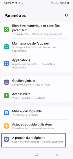 Étape 3 : Allez sur À propos du téléphone en fin de défilement.