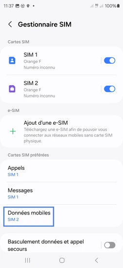 Étape 5 : Sélectionnez Données mobiles.