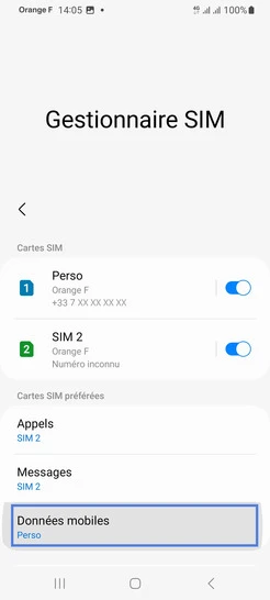 Étape 5 : Sélectionnez Données mobiles.