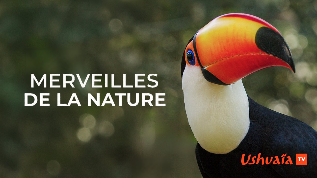 Merveilles de la nature