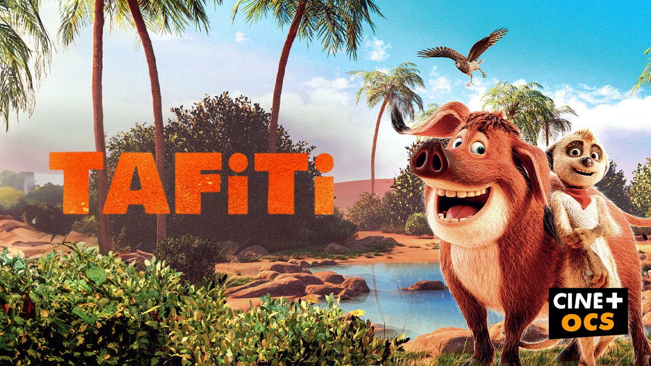 Tafiti