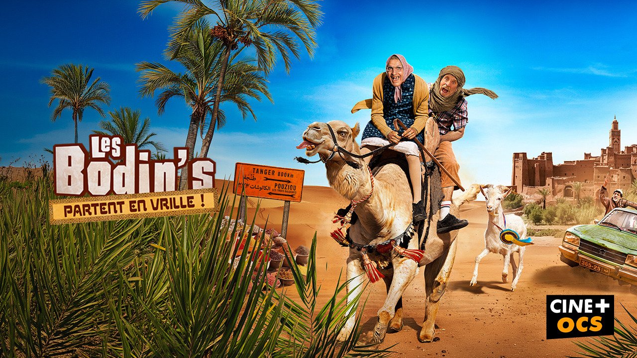 Les Bodin's
