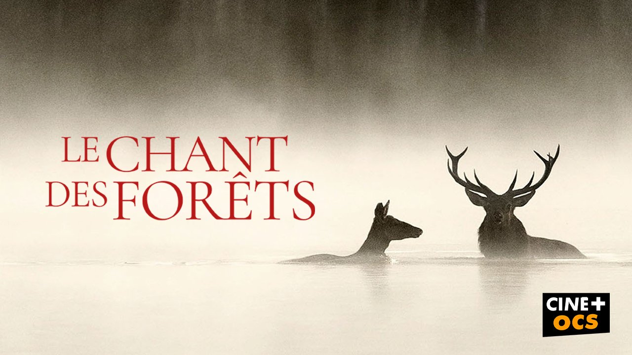 Le chant des forêts