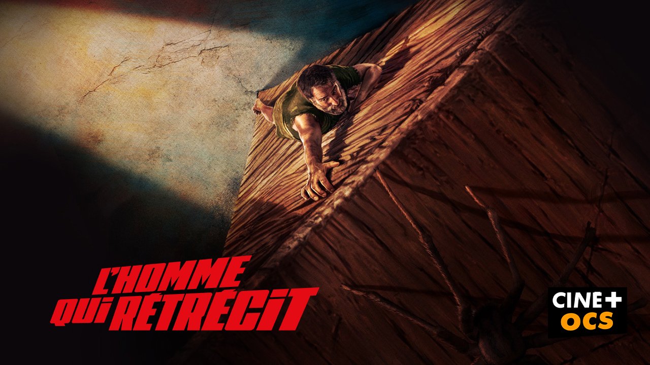 L'homme qui rétrécit