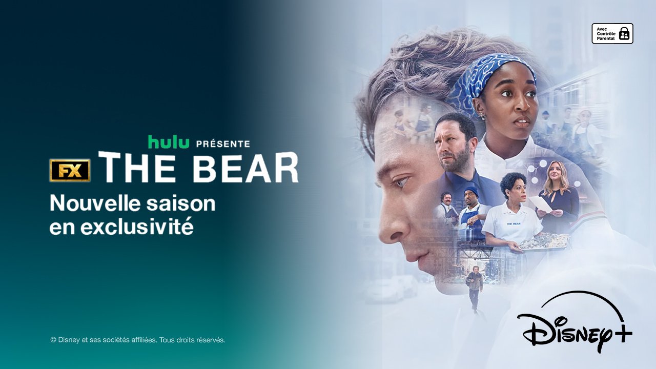 The bear