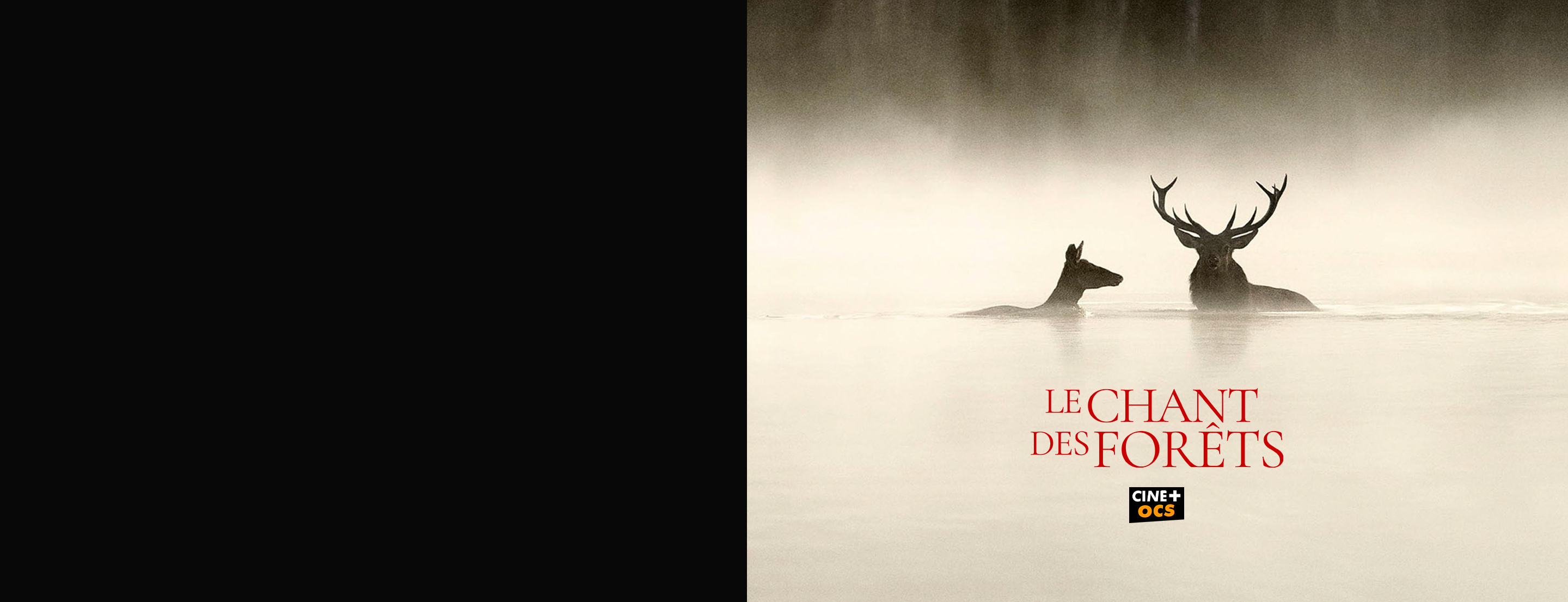 Le chant des forêts