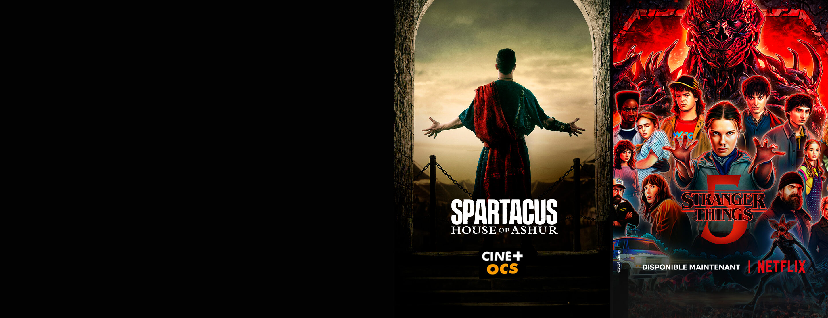 Pack Cine+ OCS et Netflix
