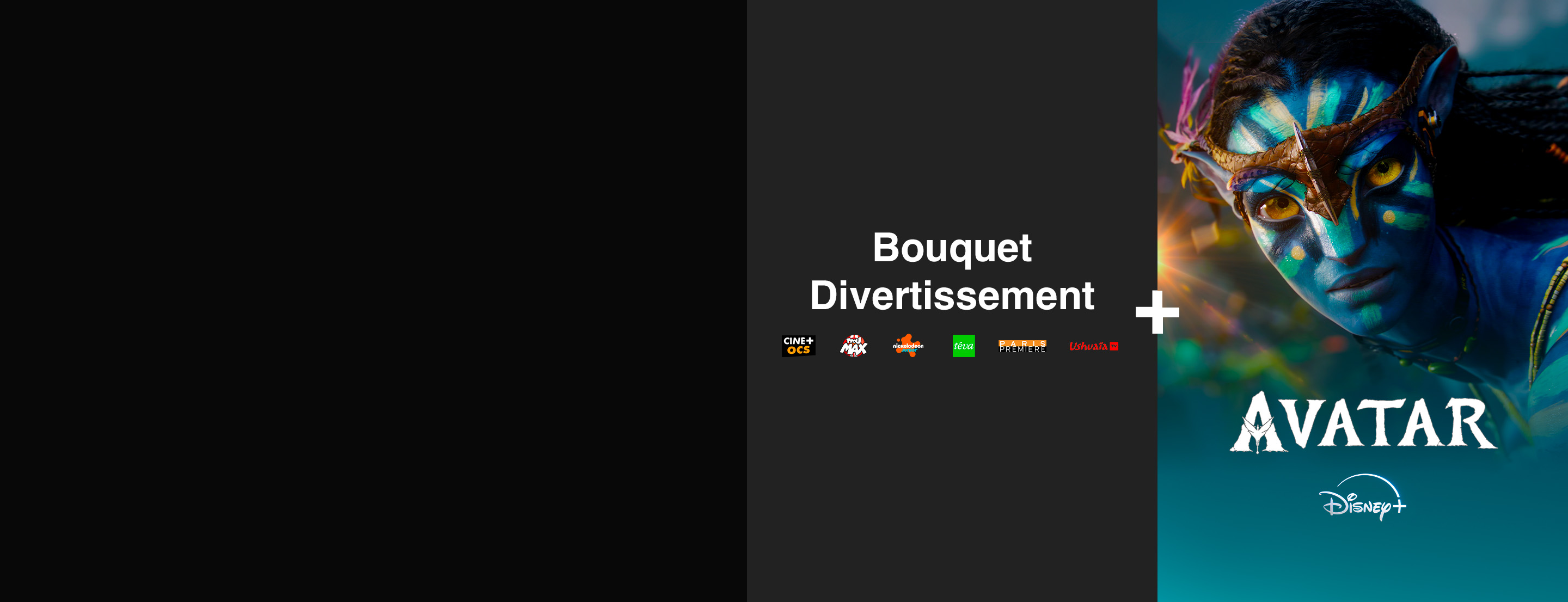Bouquet Divertissement et Disney+ 
