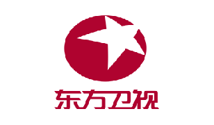 Shanghai Dragon TV