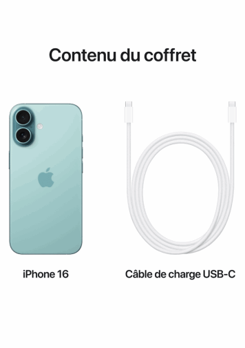 Visuel iPhone 16 de dos avec câble