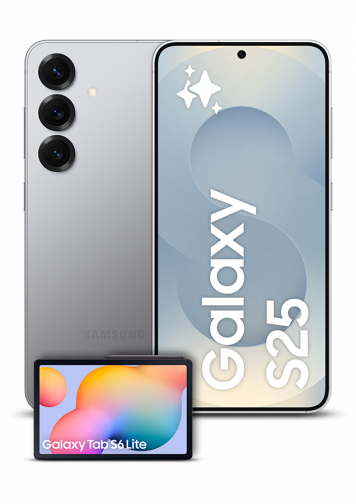 Samsung Galaxy S25 Argent 512Go