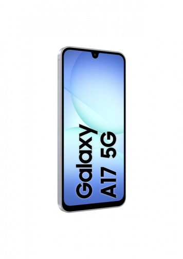 Samsung Galaxy A17 5G Gris 128Go