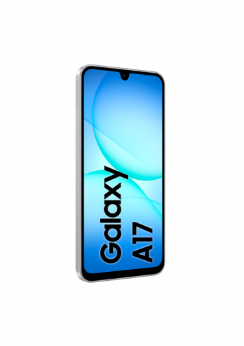 Samsung Galaxy A17 4G Gris 128Go