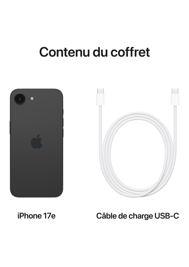 Apple 17e Noir 256Go