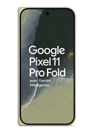 Google Pixel 11 Pro Fold 5G+ olive 256 Go