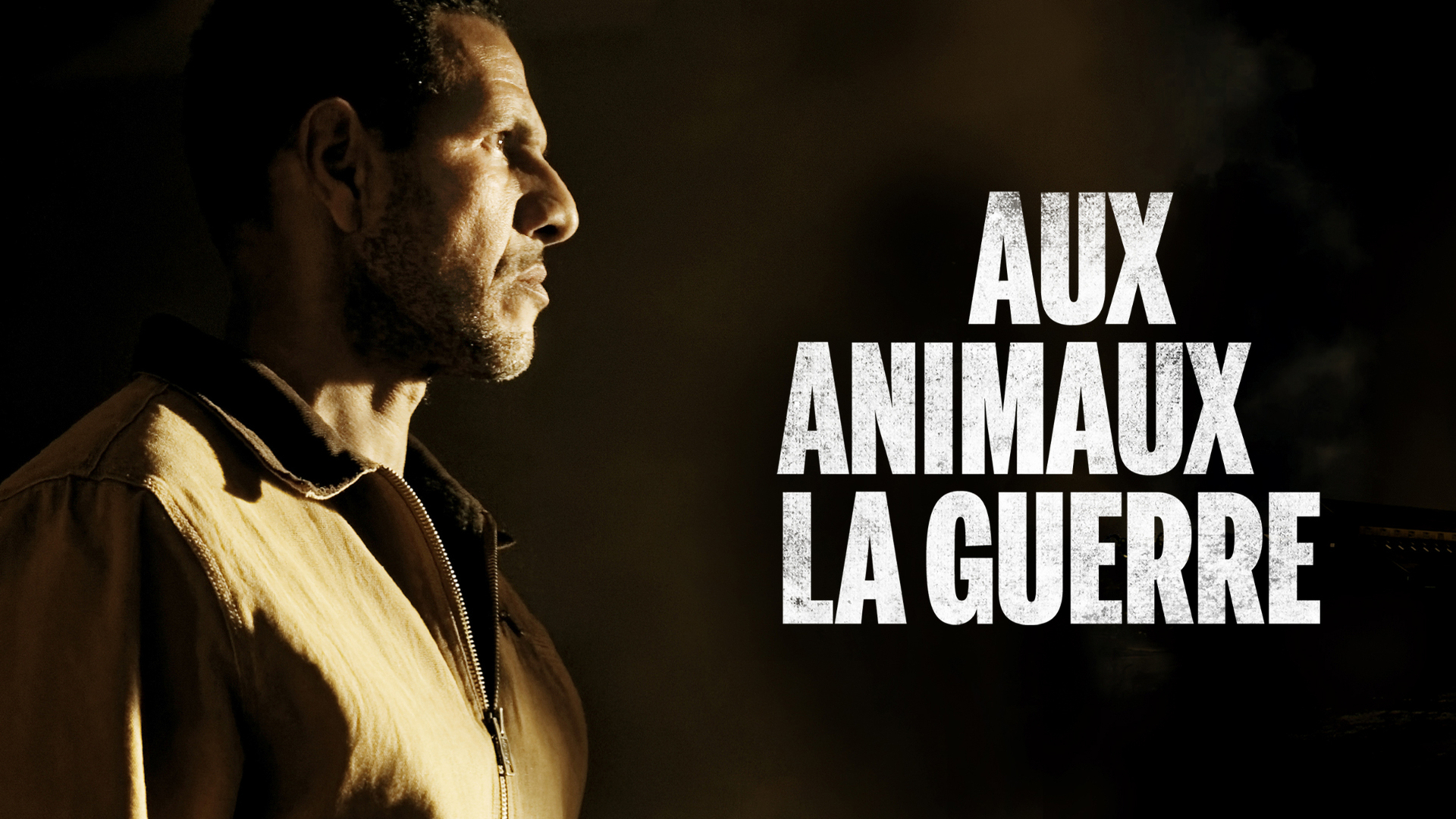 Aux Animaux La Guerre - Saison 2 Aux animaux la guerre - S01