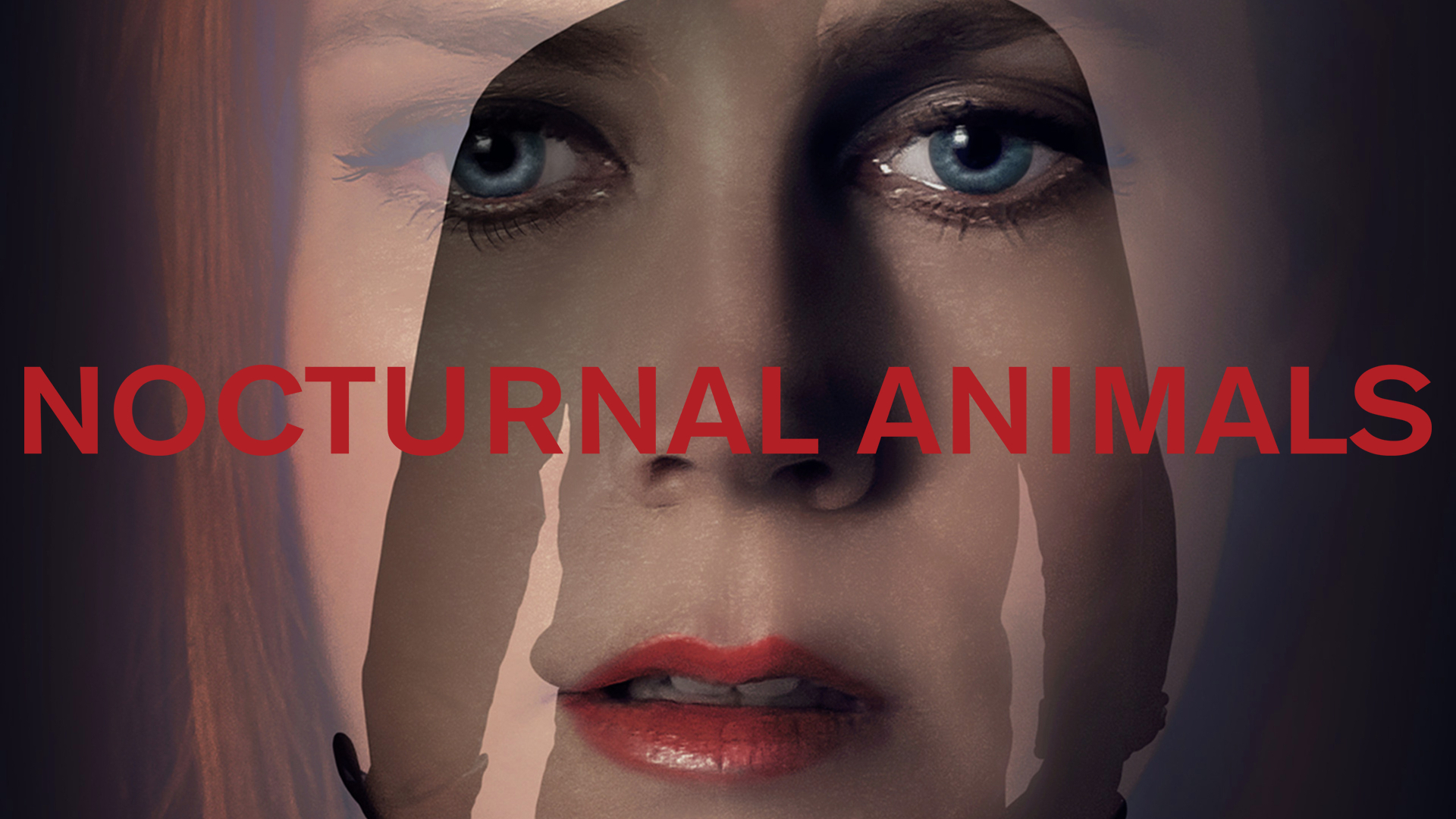 Nocturnal Animals