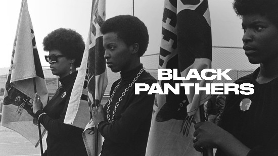 Black Panthers - - 2