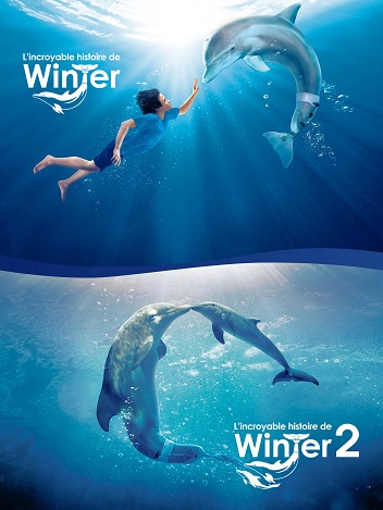 Collection L'incroyable histoire de Winter le dauphin