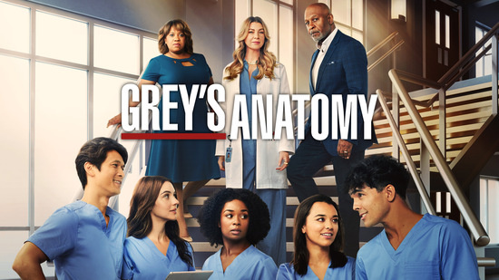 Grey's Anatomy - S19