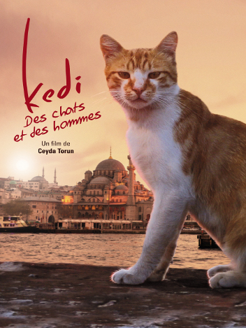 Kedi : des chats et des hommes