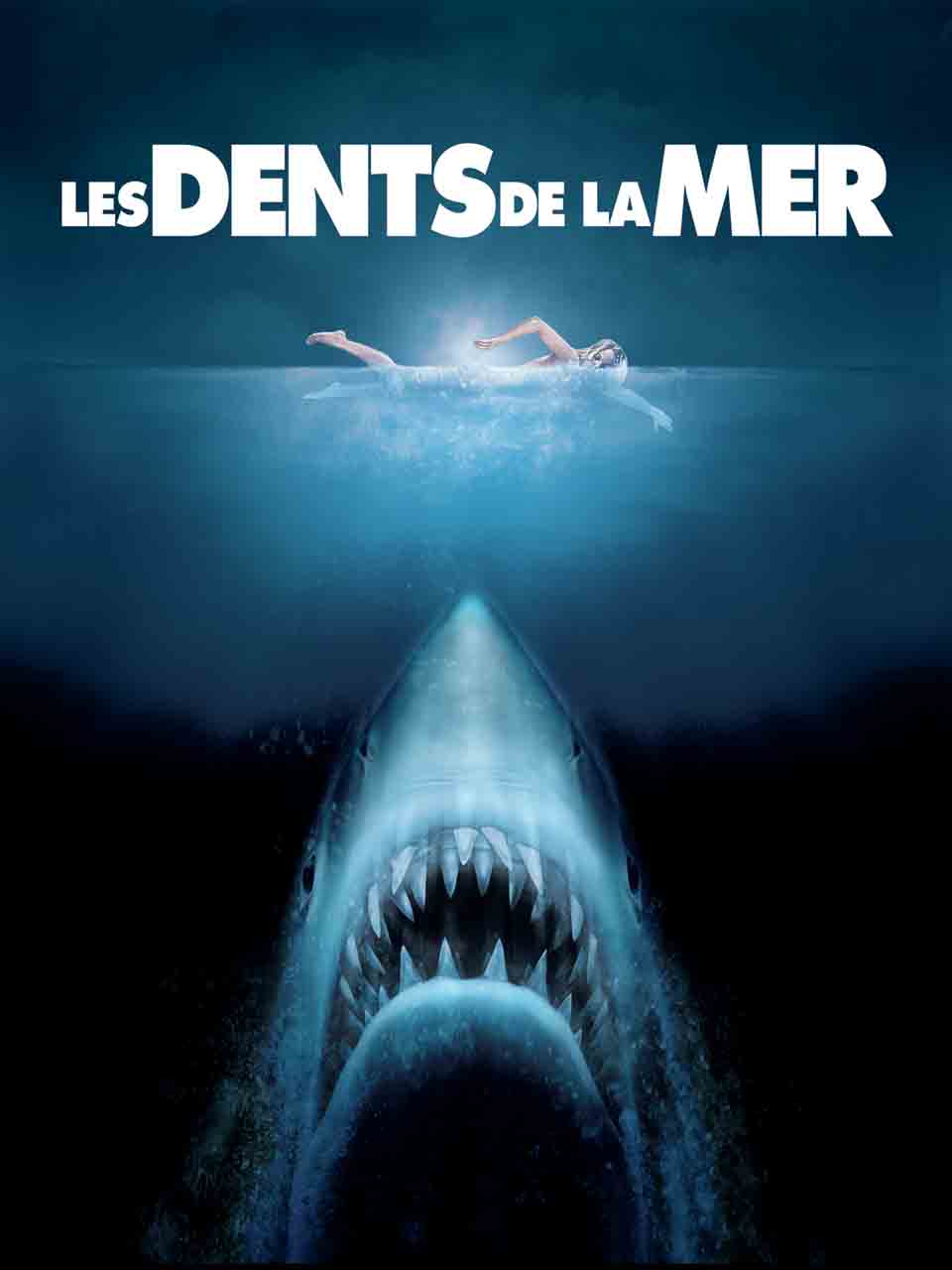 Jeu Les Dents De La Mer Sur PS2 – PAL FR, Très Bon état, Complet (boîte, Livret, Disque Propre)