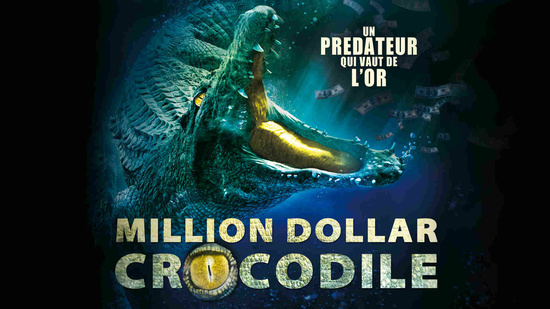 Million dollar crocodile
