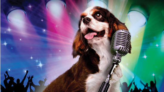 Pop Star Puppy : toutou pour la musique