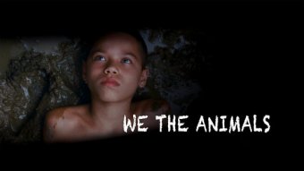 We the animals