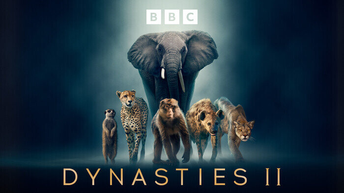 Dynasties