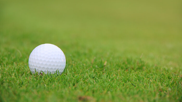 Golf : Open de Jackson