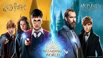Les héros Wizarding World