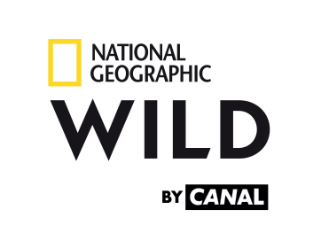 Accéder à la chaîne National Geographic Wild