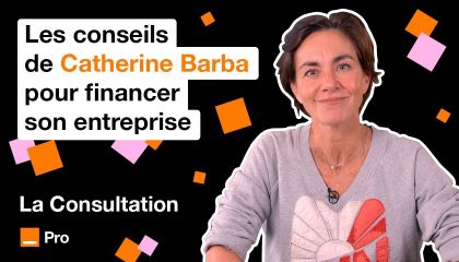 La Consultation - Créer son entreprise sans argent - Épisode 3 avec Catherine Barba de Envi