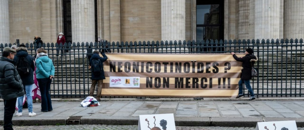 Néonicotinoïdes: des motifs d'inquiétudes pour la santé humaine mais manque d'études d'ampleur