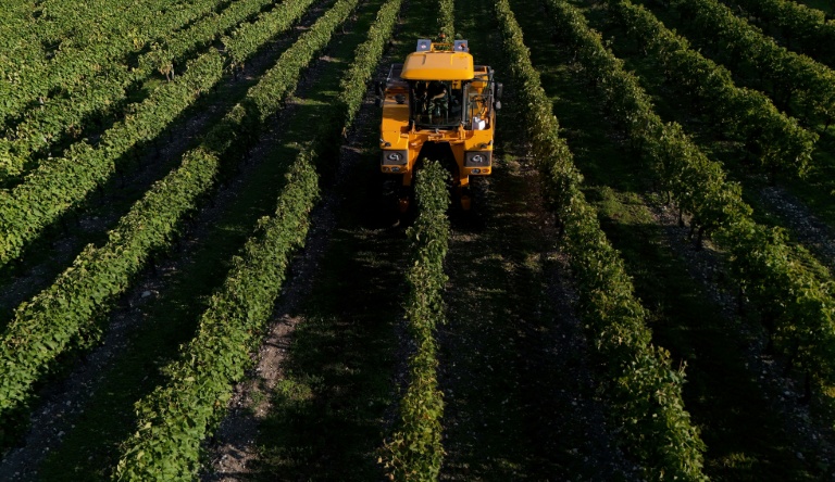 "Faire tourner la boîte": pourquoi les indépendants prennent peu le congé de paternité