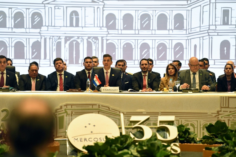 Le Mercosur affiche ses divergences après l'accord commercial conclu avec l'UE