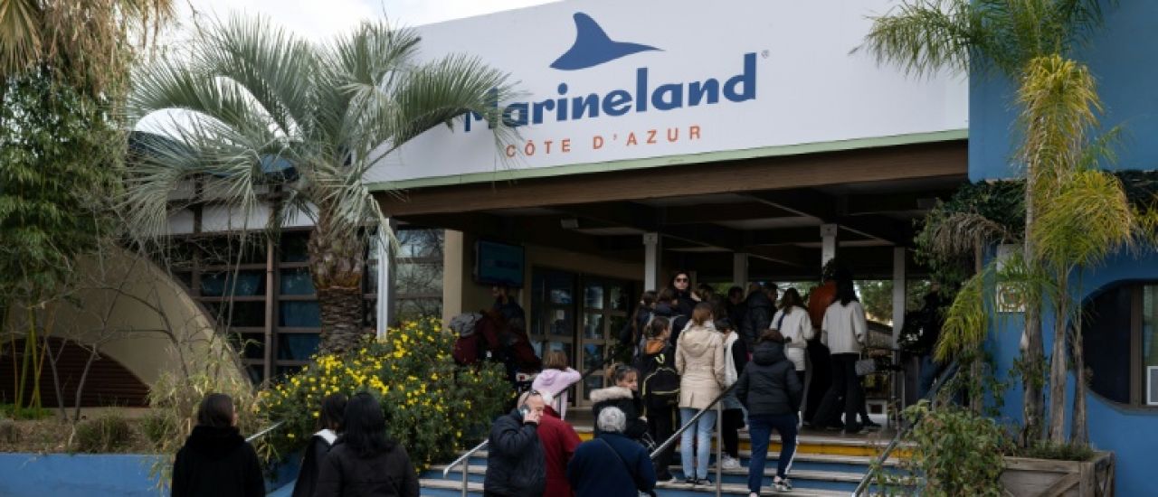 Marineland exhorte les pouvoirs publics à agir pour le transfert de ses cétacés