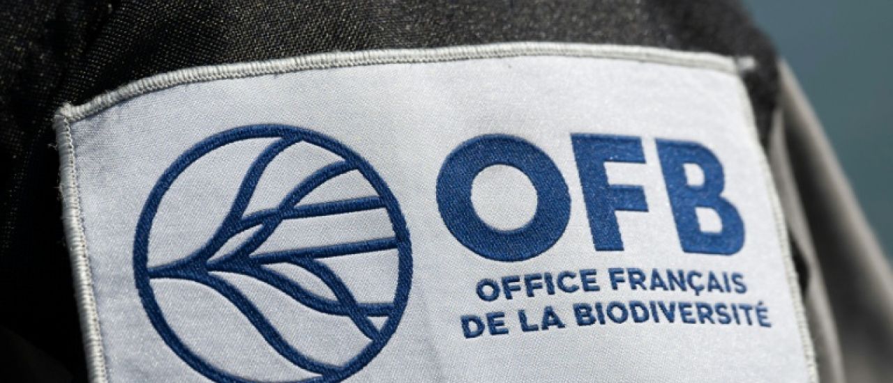 Pesticides: 3.000 litres saisis chez des particuliers malgré l'interdiction (OFB)