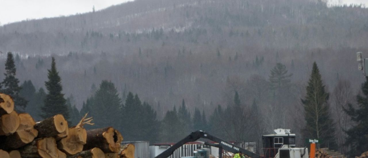 Le bois de construction et l'ameublement, nouvelles cibles des droits de douane de Donald Trump