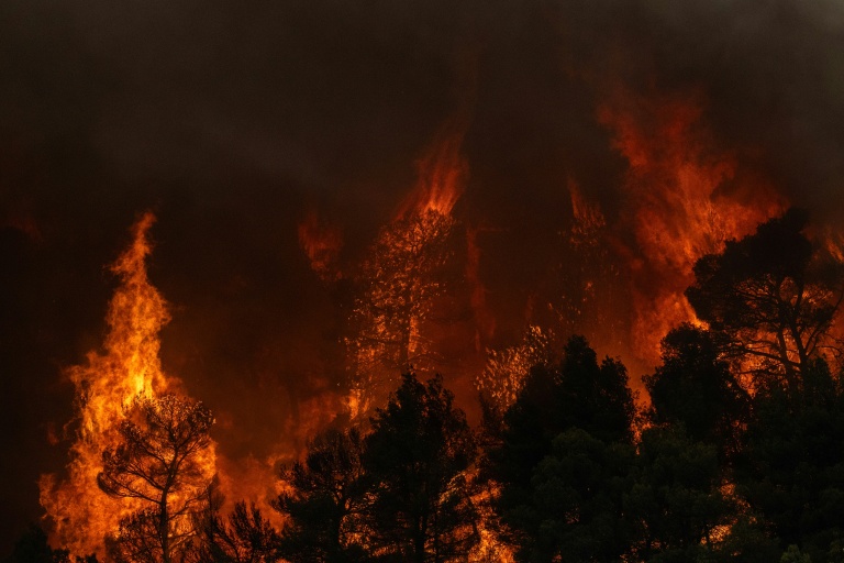 Grèce : les pompiers poussés "à leurs limites" face à de violents incendies