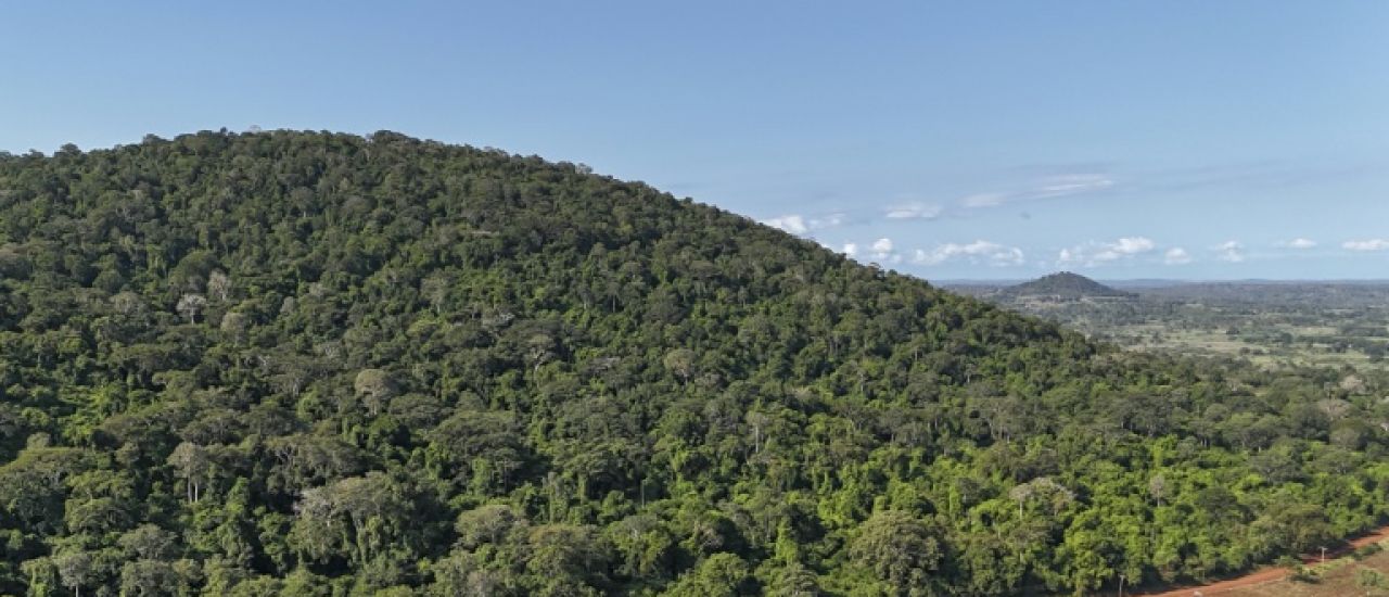 Au Kenya, cinq petits villages et une forêt au cœur de la course mondiale aux terres rares