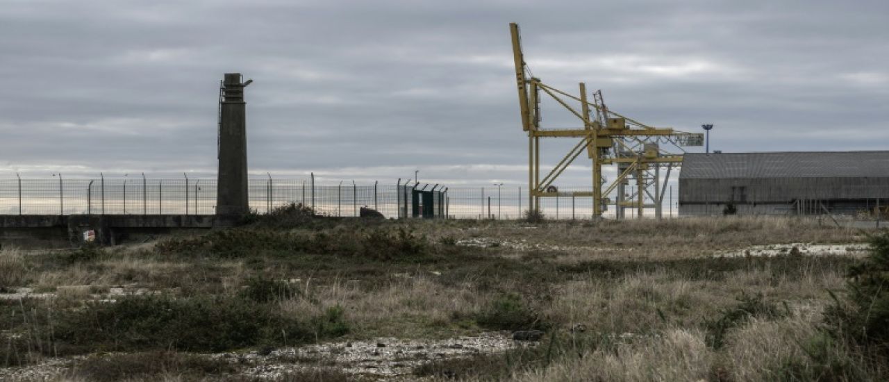 Feu vert à un projet contesté de mégaferme terrestre à saumons