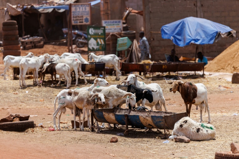 "Nous resterons à Bamako": une Tabaski sous blocus jihadiste au Mali