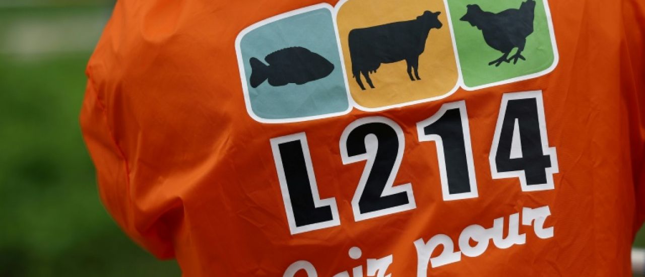 Broyage de poussins: L214 porte plainte contre un couvoir des Deux-Sèvres Broyage de poussins: L214 porte plainte contre un couvoir des Deux-Sèvres