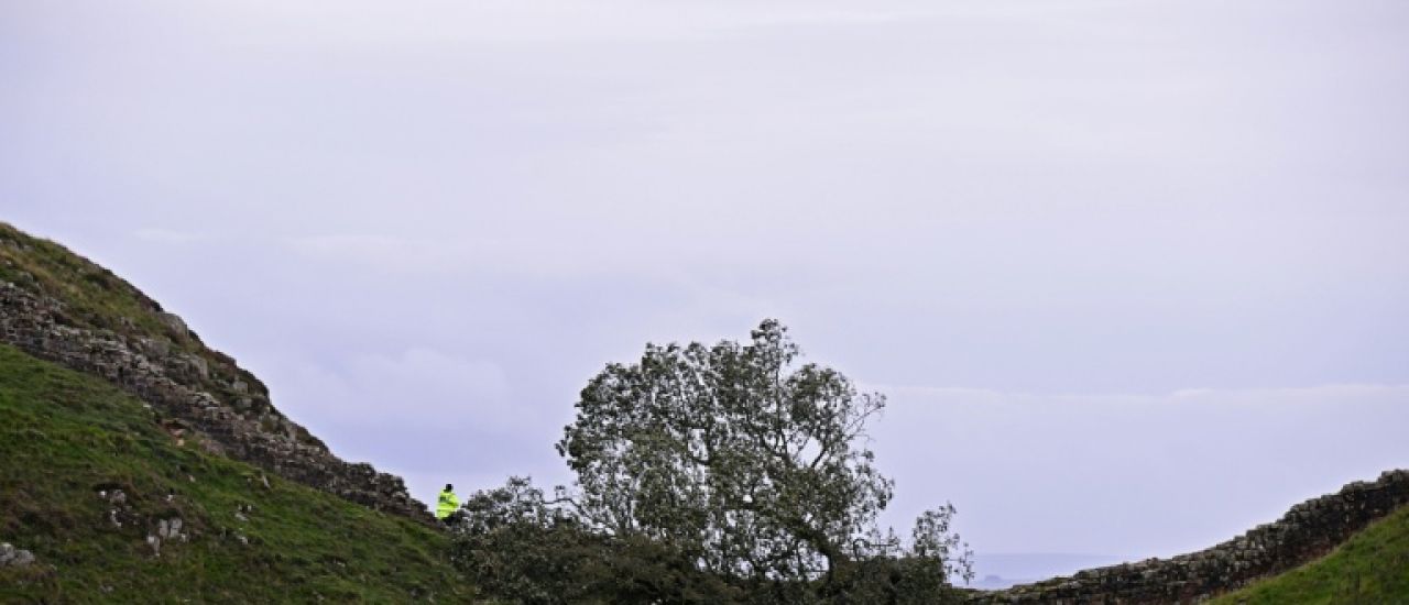 Deux hommes condamnés à quatre ans de prison pour avoir détruit l'arbre le plus célèbre d'Angleterre