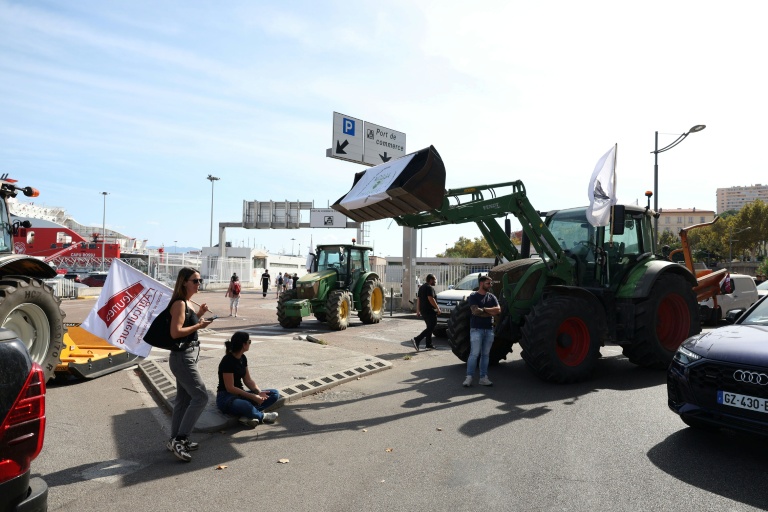 Sécheresse: des agriculteurs en colère ont bloqué les ports de Bastia et Ajaccio
