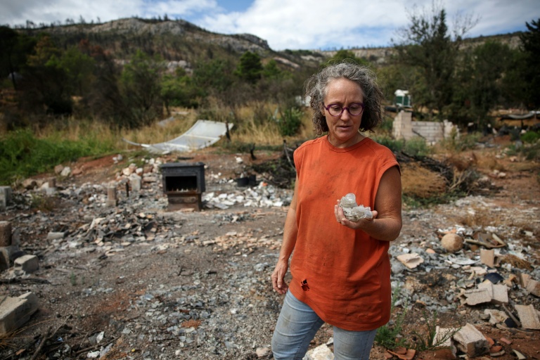 Dans les Corbières, un an après le mégafeu, des troupeaux face aux incendies