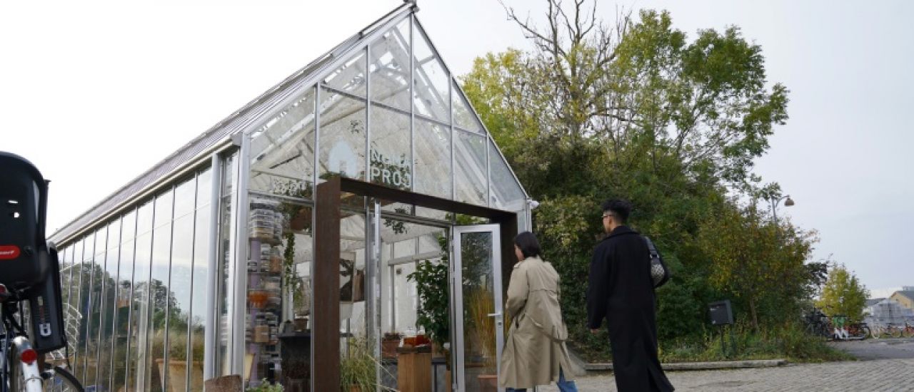 Au Danemark, le prestigieux restaurant noma veut entrer chez les cuisiniers amateurs