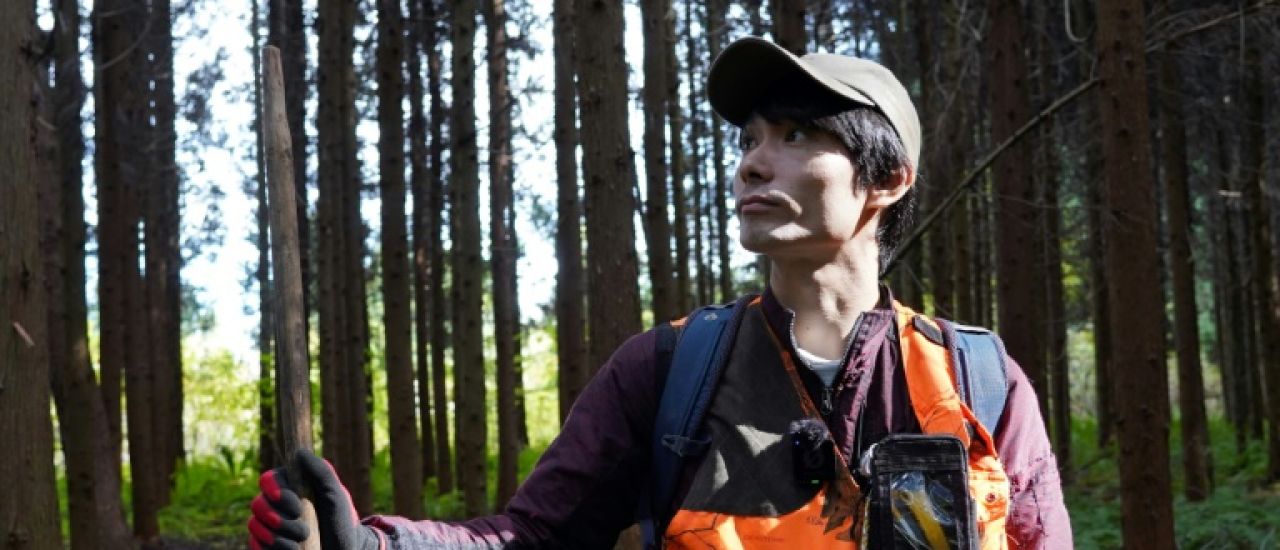 "C'est comme ça que je vais mourir": le Japon terrorisé par des attaques d'ours de plus en plus nombreuses